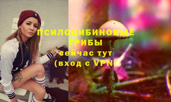 винт Алексеевка