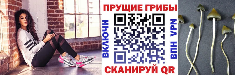 Псилоцибиновые грибы MAGIC MUSHROOMS  Дегтярск 