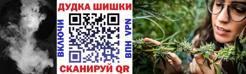 продажа наркотиков  Дегтярск  Бошки марихуана OG Kush 
